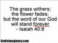 Proving that the Bible is repulsive