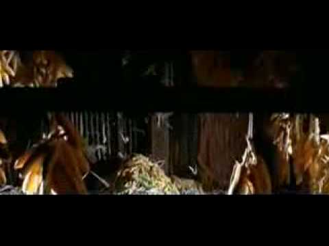 Trisha hot clip
