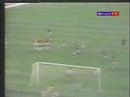 Botafogo grandes craques