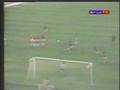 Botafogo grandes craques