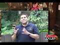 Walt DIsney World Adventureland Audio Guide Preview Walt DIsney World Adventureland Audio Guide Preview