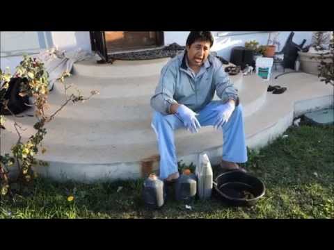 how to dispose of motor oil