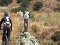 sintra freeride militia