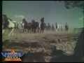 ohana-road-tv-show-episode-246-ford.html