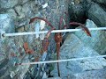 Da Camogli a Punta Chiappa