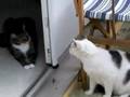Monkey and Sniffles 4/28