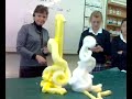 Cool Science Experiment