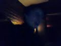 Klette.net zingt