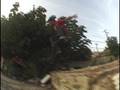 frontside flip