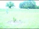 Thumbnail #3