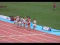 2008 日本陸上競技選手権大会 男子800m 決勝