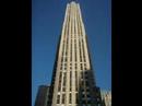 NEW YORK  IS COOL