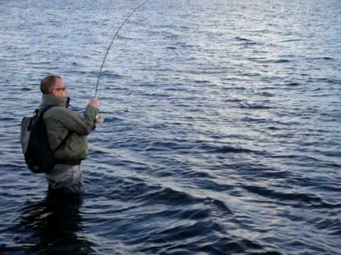 Oostvoornsemeer - Martin Westbeek, Hans Frumau, Paul Verboom and Bas Hermans fishing for trout and its tough!