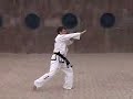 International Taekwondo Federation (ITF) Pattern 9