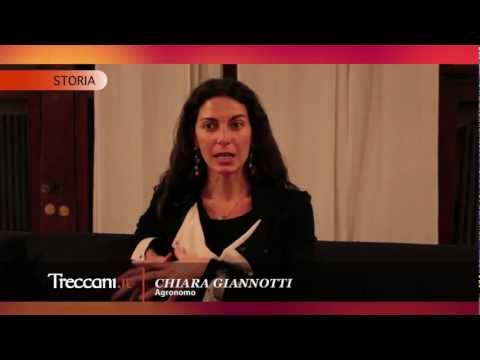 Alla scoperta del Verdicchio