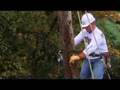 Electrical Power Distribution