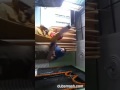 Spiderman tune churaya mere dil ka chain funny dubsmash by Sahil nd Sujay