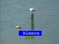 BBQ in 2005 Almere strand