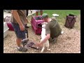 An Animal Rescue Return to New Orleans (chapter 1)
