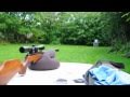 Air Arms TX200 mk.3 - 15m targets