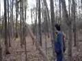 videos de RICH AND HIS TREE