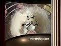 Canaryfansclub - الحلقة 11 - تزويج 3 اناث كناري لذكر Mating male canary to 3 females