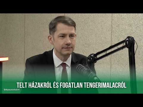 Napindító (SZMR) - Interjú dr. Pásztor Bálinttal, a VMSZ elnökével-cover