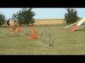 Emsi training fence, 25-07-2008