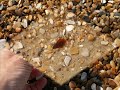 Finding Sea Glass Finding Sea Glass