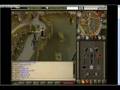 City Noobs!