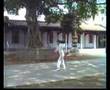 CHINESE kongfu 洪敦品 螳螂拳 武当 少林