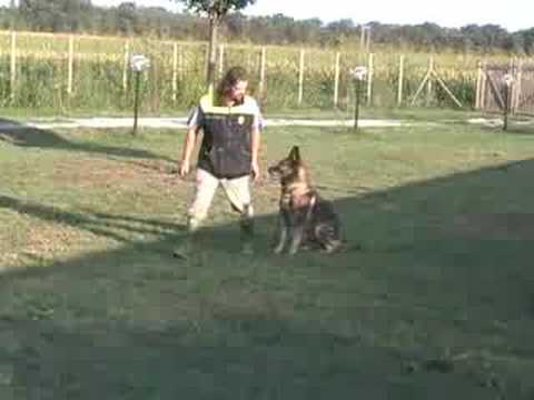 Guarda video