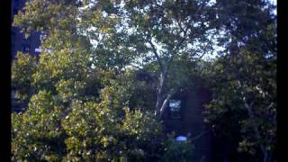 2009 10 11 sunday