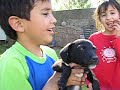 Mis Hijos Mis Hijos