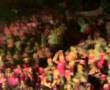Linkin park Prague Bleed it out