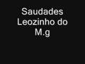 Saudades Leozinho do M.g