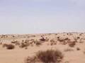 Deserto nell'anima