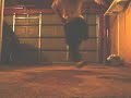 Sylo - 100 Bars Of Def C-Walk