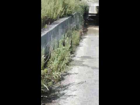 Perdita d'acqua tubo Treggiaia Pontedera