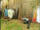 Stop Motion Animation ISP