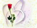 OUR WEDDING DAY (A SONG FOR YOU) OUR WEDDING DAY (A SONG FOR YOU)