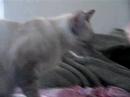 Kyo is so cute!!!