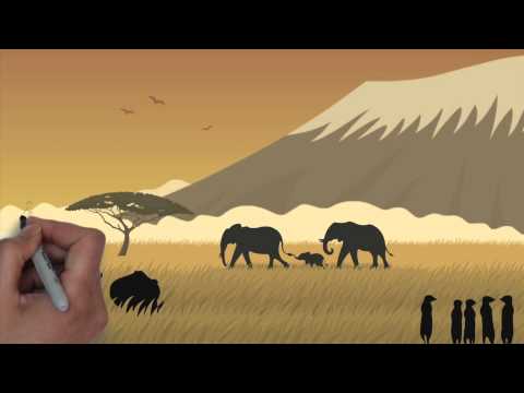 how to help endangered animals