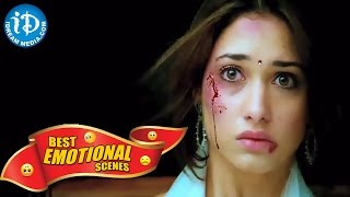 Tollywood Telugu Movies  Best Emotional Scene  Rac