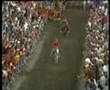 Palio Allumiere.....ASINI CHE VOLANO