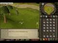 Runescape 99 Runecrafting