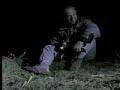 Cute baby animals - murrelet chicks - David Attenborough - BBC wildlife Cute baby animals - murrelet chicks - David Attenborough - BBC wildlife