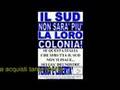 spot sudista
