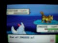 Shiny Pokemon #2 Mightyena Shiny Pokemon #2 Mightyena