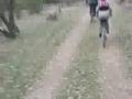 La hostia Rockrider